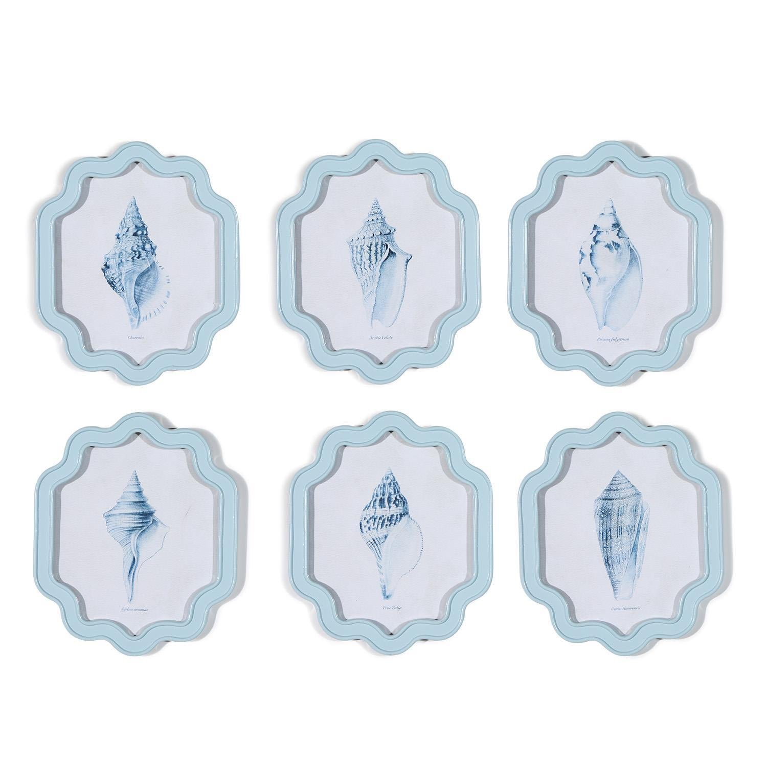 Sea Shell Wall Art, Set of 6 Asst