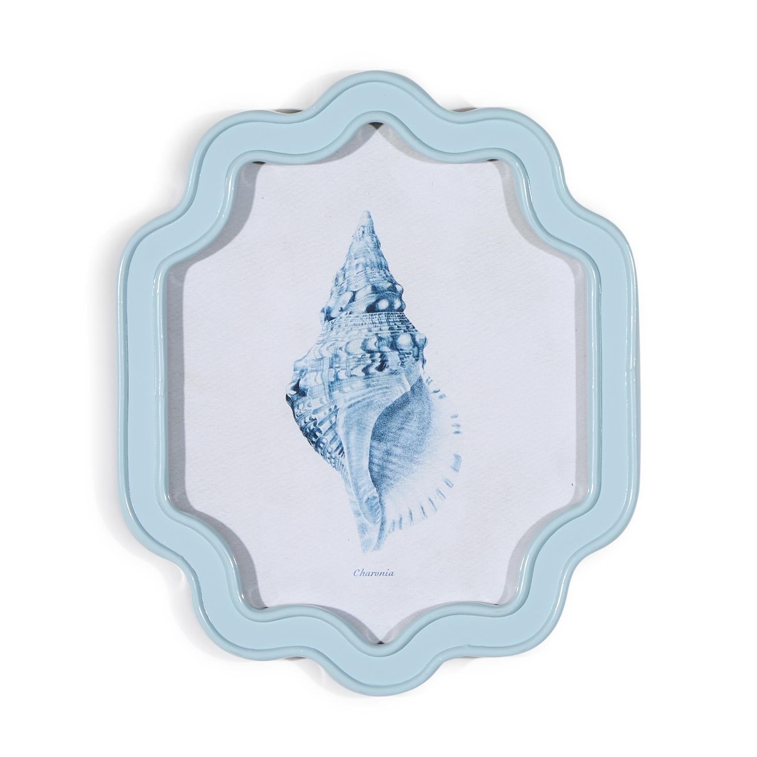 Sea Shell Wall Art, Set of 6 Asst