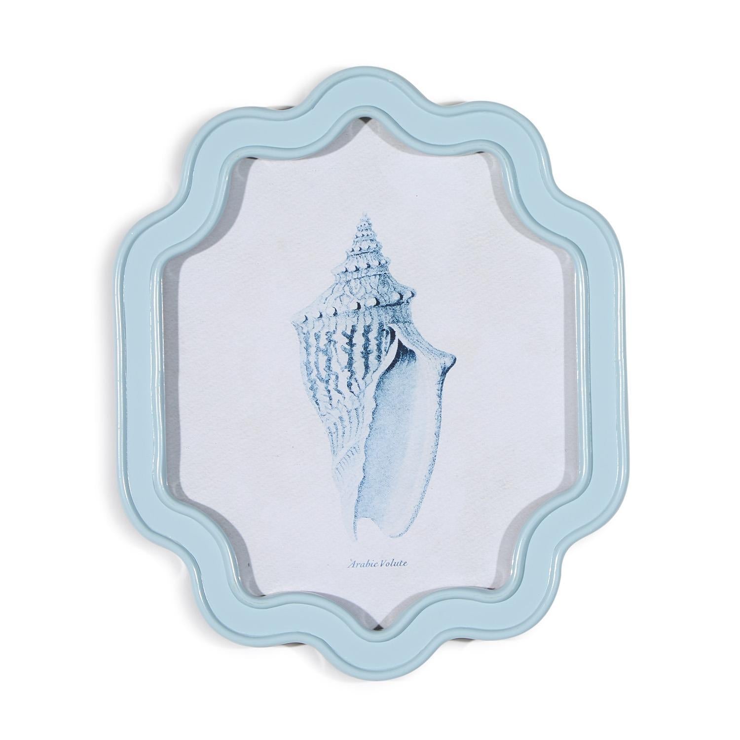 Sea Shell Wall Art, Set of 6 Asst