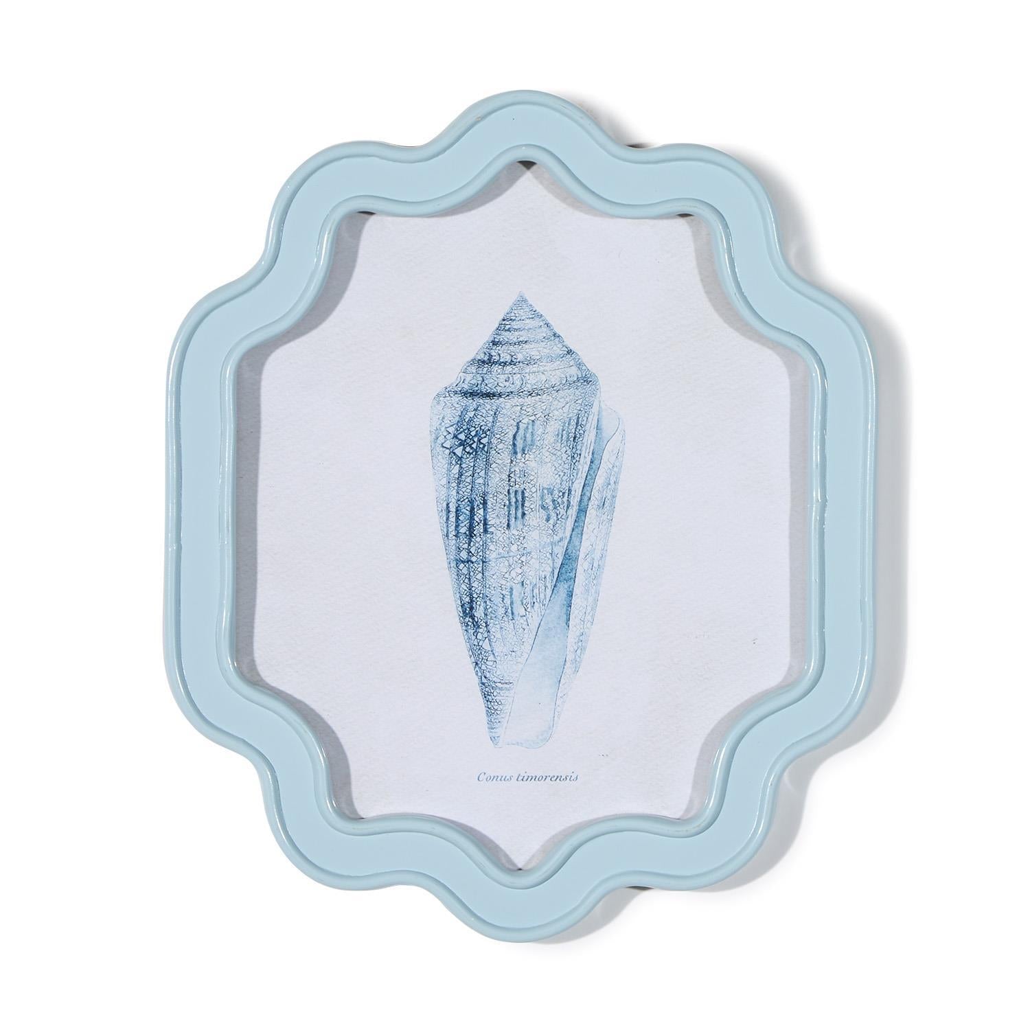 Sea Shell Wall Art, Set of 6 Asst