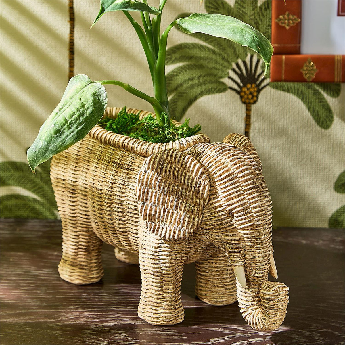 Elephant Planter, Resin