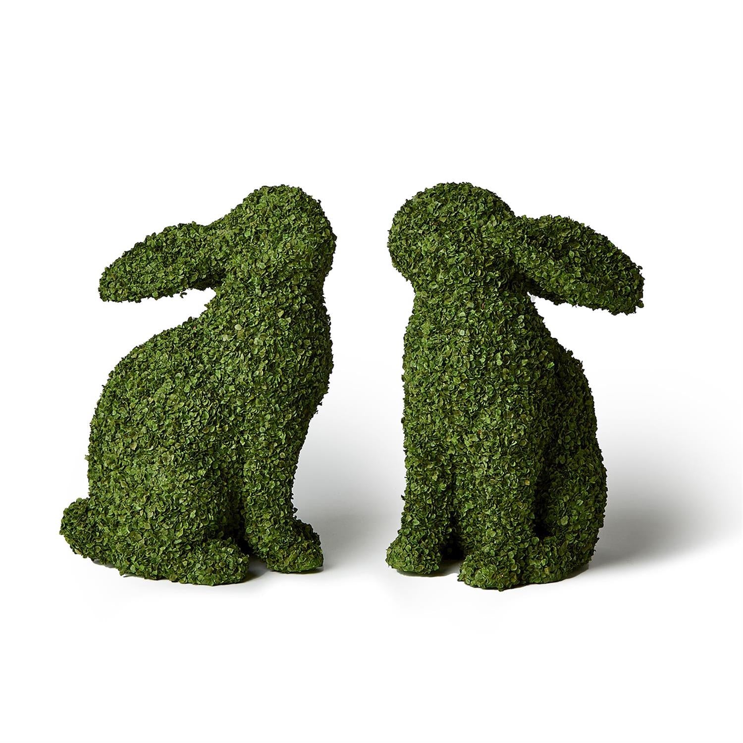 Preserved Buckwheat Husk Bunnies, Set of 2 Asst