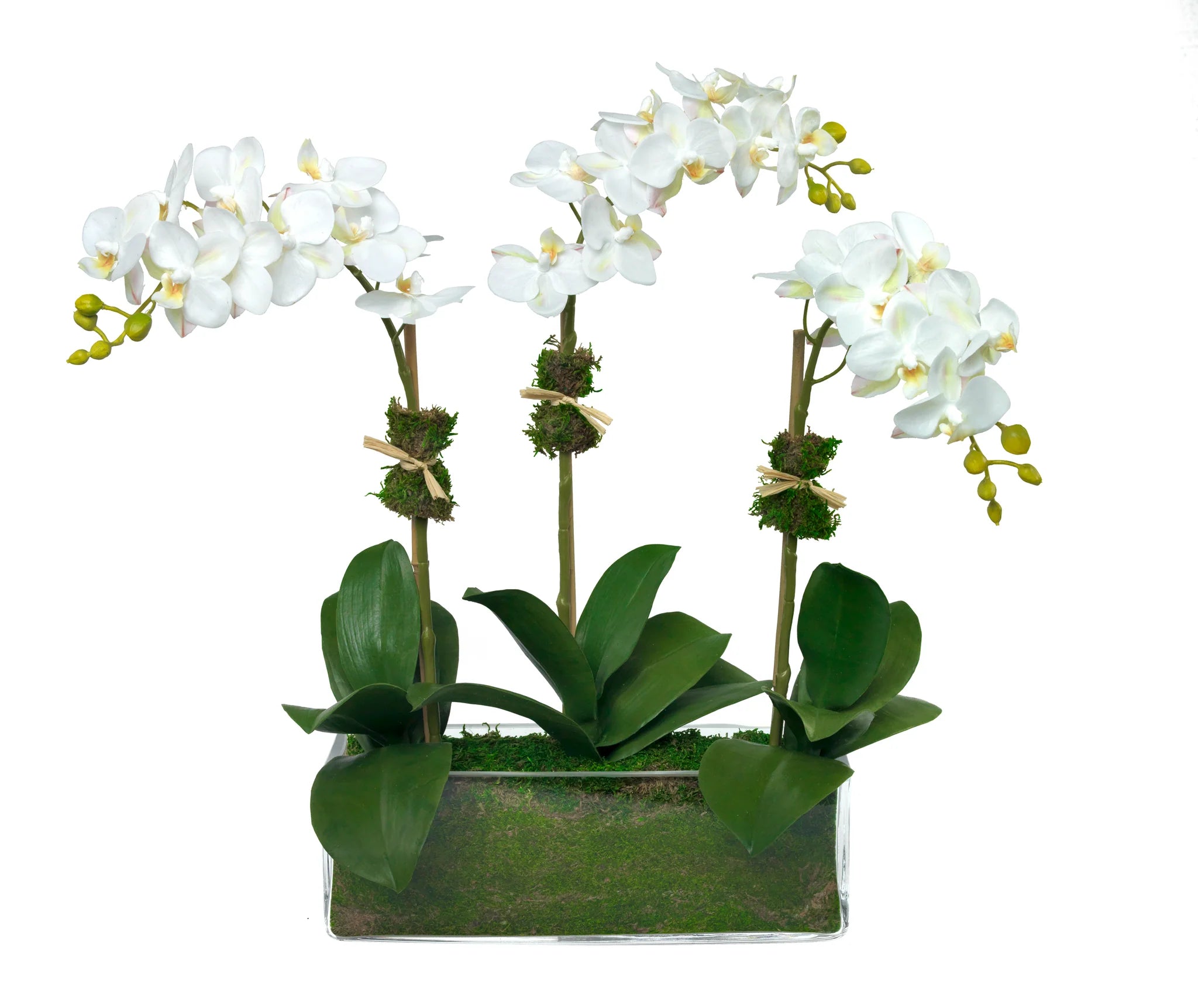 Diane James Tres Chic Orchids
