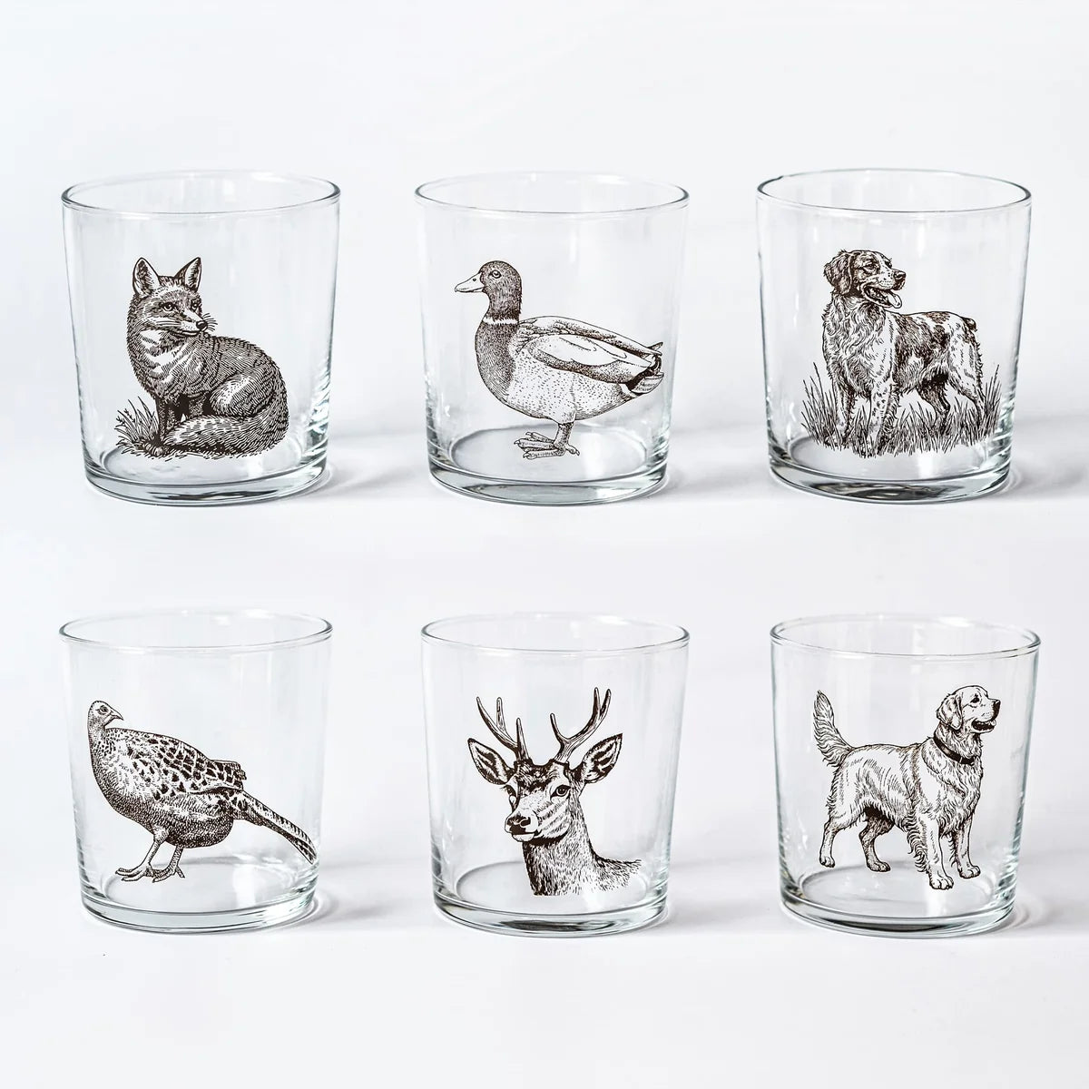 Wildlife Assorted Tumblers, Set of 6 Asst