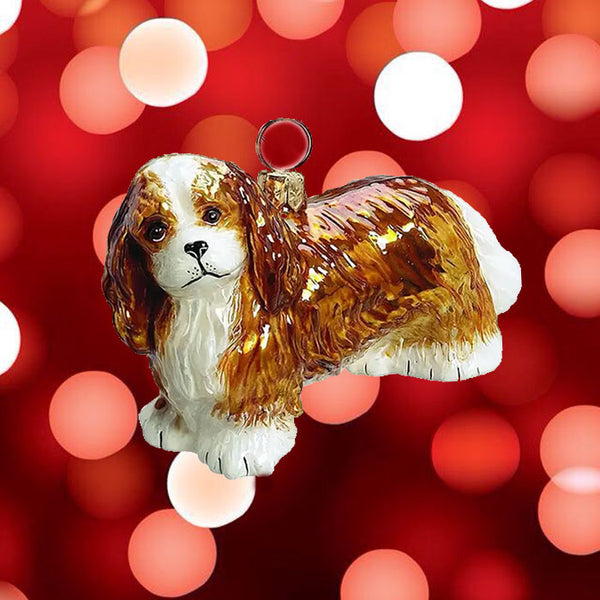 Cavalier King Charles Spaniel Blenheim