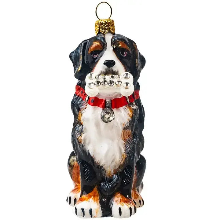 Bernese Mountain Dog with Crystal Dog Bone Ornament