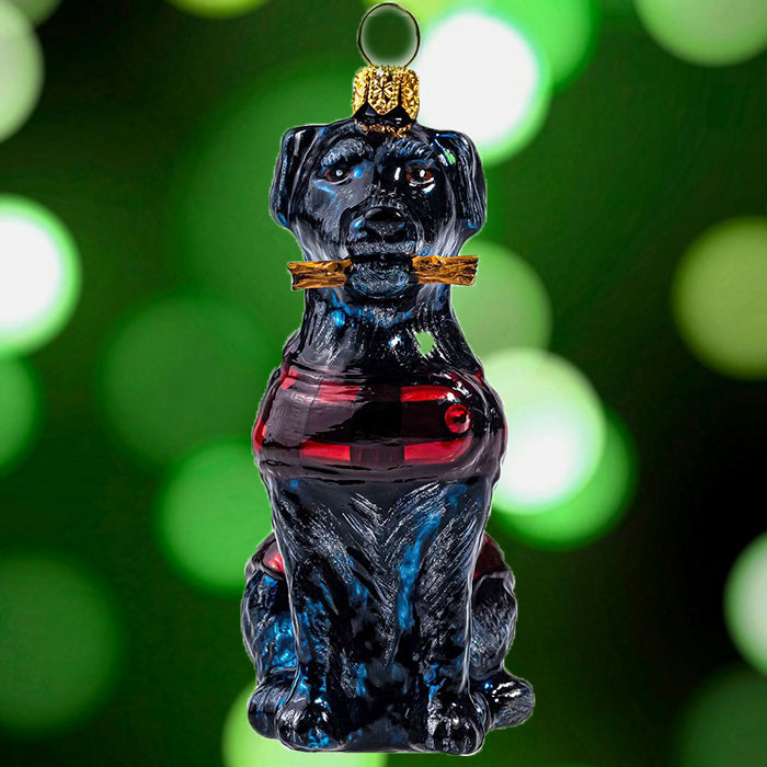 Black Lab in Buffalo Check Coat & Fetching Stick Christmas Ornament
