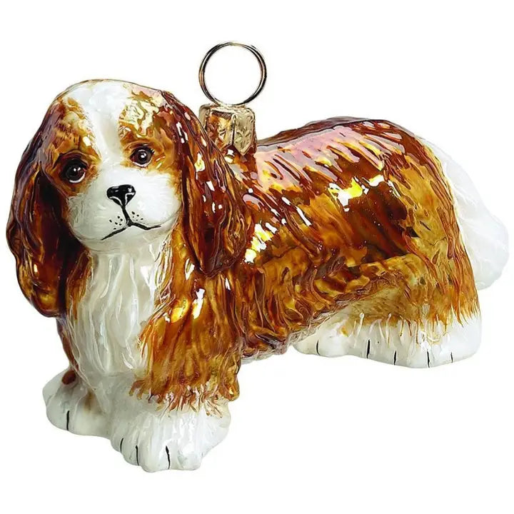 Cavalier King Charles Spaniel Blenheim