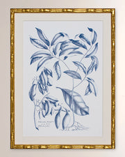 Navy & Linen I Framed Giclee Print