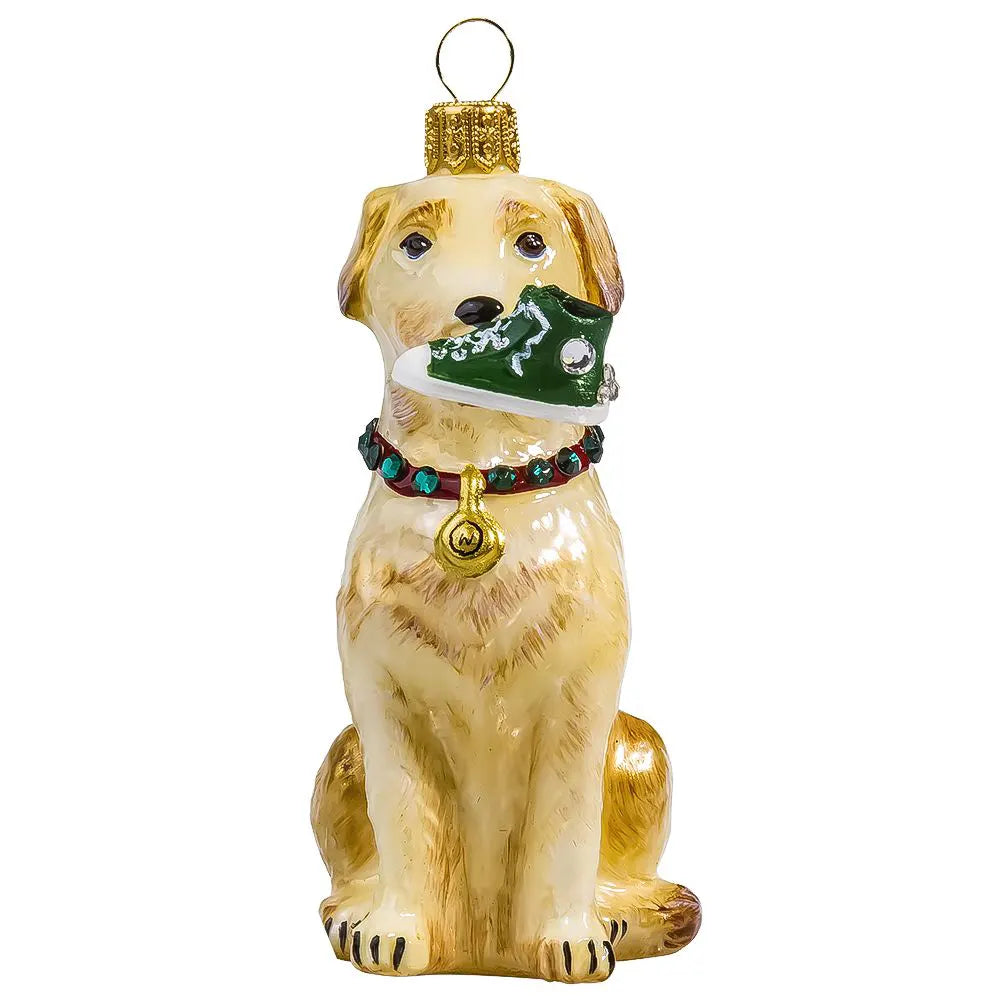 Yellow Lab with High Top Sneaker