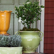 Vietri Rustic Garden Pistachio Basil Round Planter
