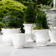 Vietri Rustic Garden White Large Scallop Planter