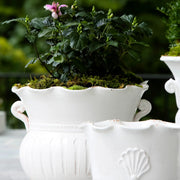 Vietri Rustic Garden White Large Scallop Planter